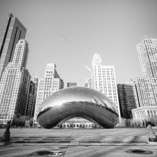 Black and white photo of the kidney bean in Chicago