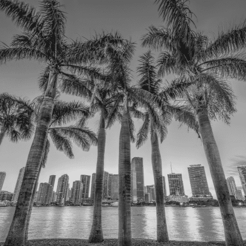 Black and white photo of Miami beach with city scape in the background